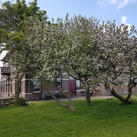 Hunsingo Texel Bed & Breakfast De Cocksdorp  Exterior foto