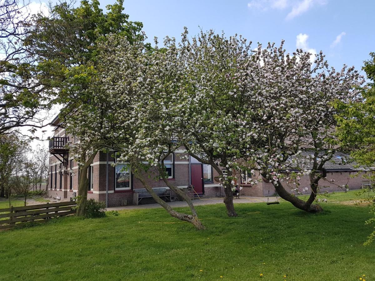 Hunsingo Texel Bed & Breakfast De Cocksdorp  Exterior foto